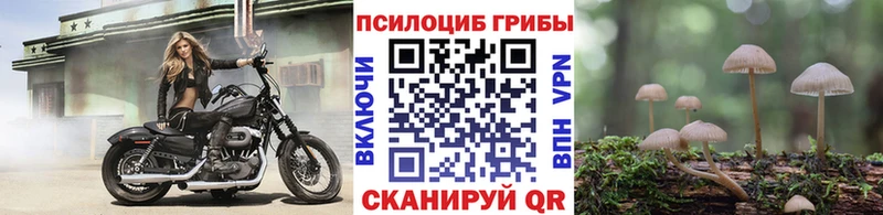 Галлюциногенные грибы прущие грибы  Ивантеевка 